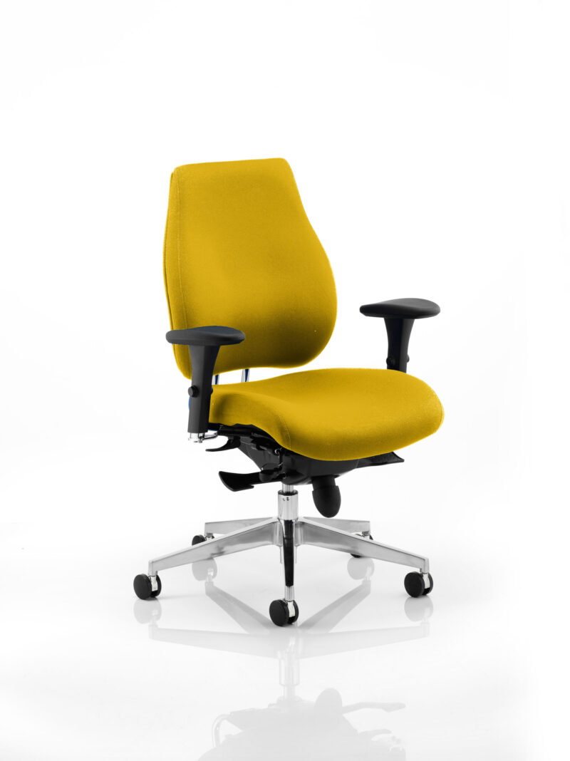 chiro plus high back ergonomic posture chair with arms