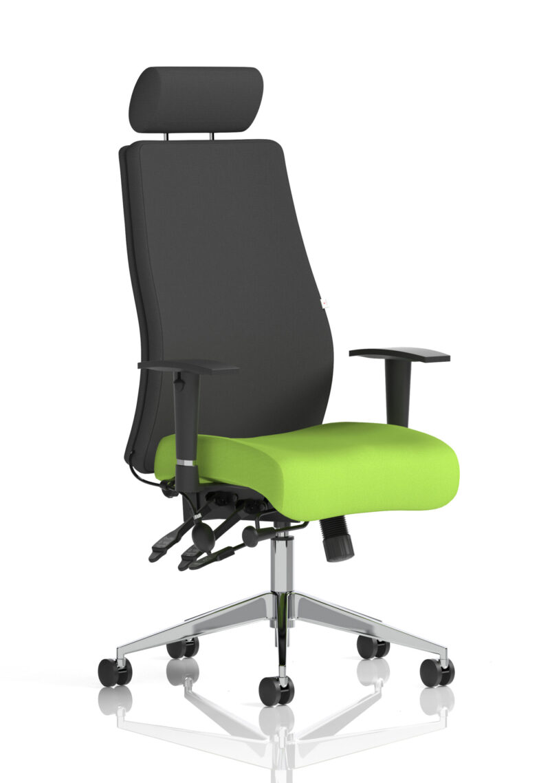 onyx high back ergonomic posture chair with height adjustable arms