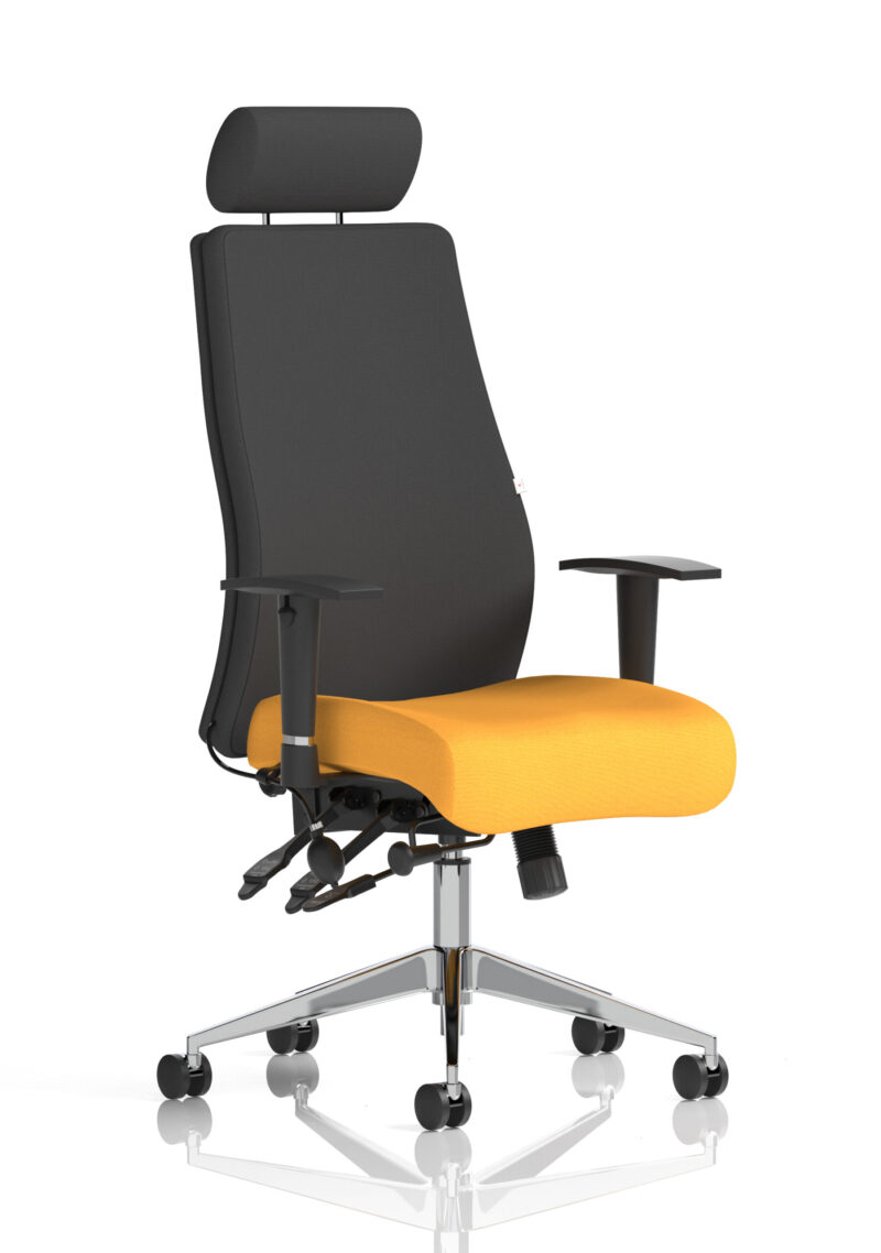 onyx high back ergonomic posture chair with height adjustable arms