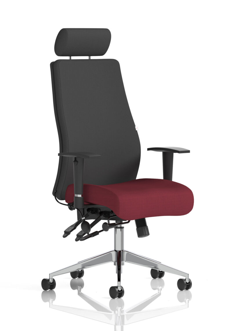 onyx high back ergonomic posture chair with height adjustable arms