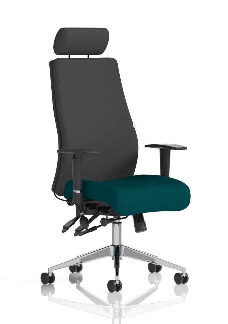 onyx high back ergonomic posture chair with height adjustable arms