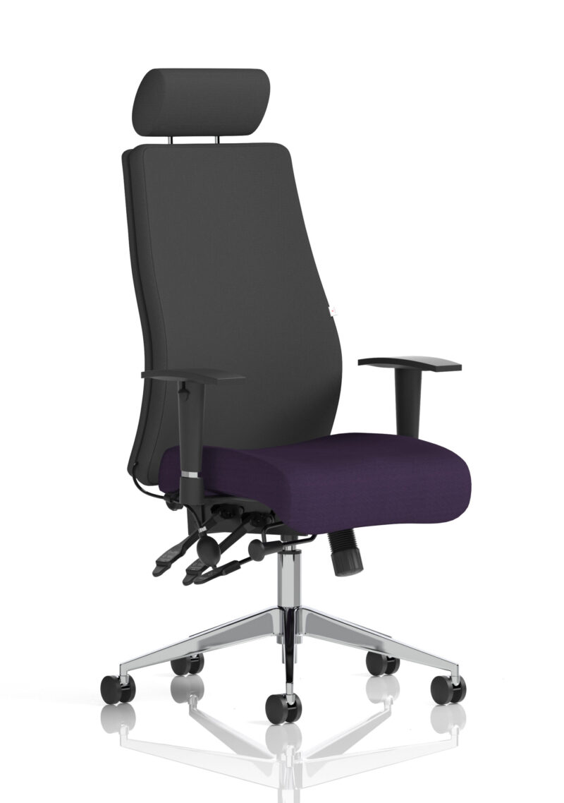 onyx high back ergonomic posture chair with height adjustable arms