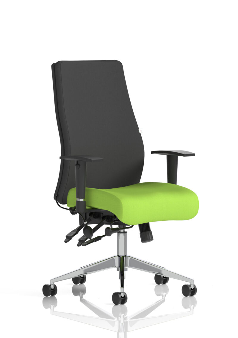 onyx high back ergonomic posture chair with height adjustable arms