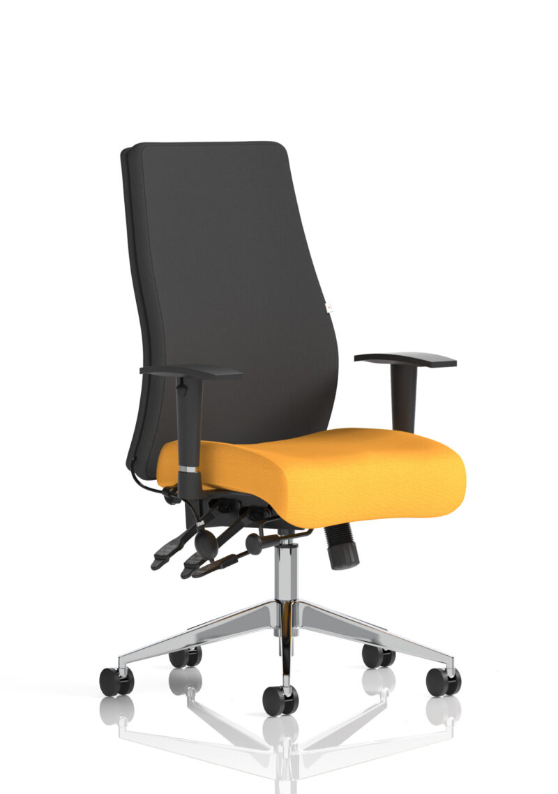 onyx high back ergonomic posture chair with height adjustable arms