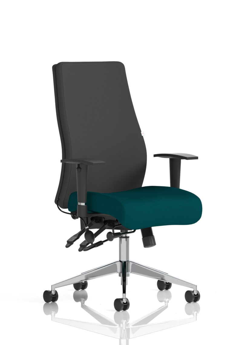 onyx high back ergonomic posture chair with height adjustable arms