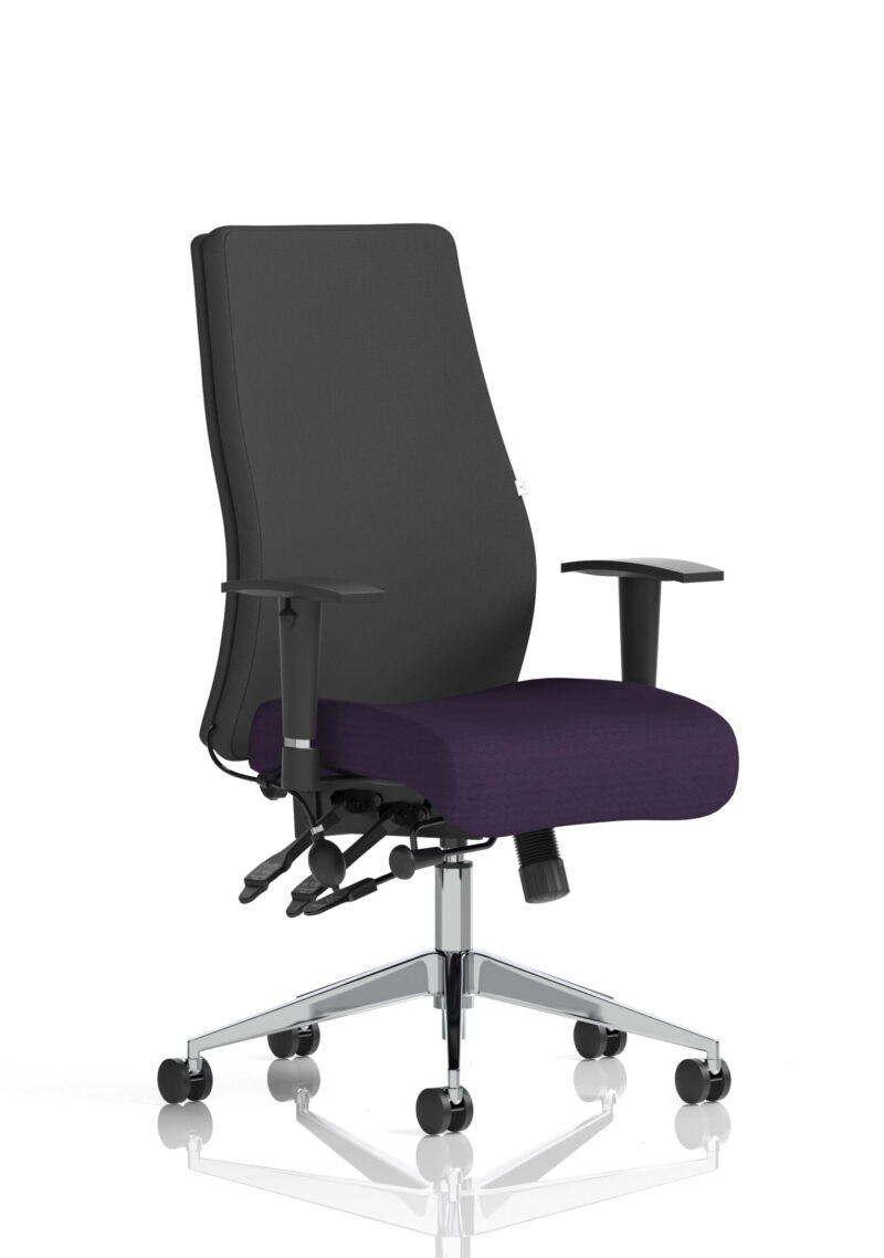 onyx high back ergonomic posture chair with height adjustable arms