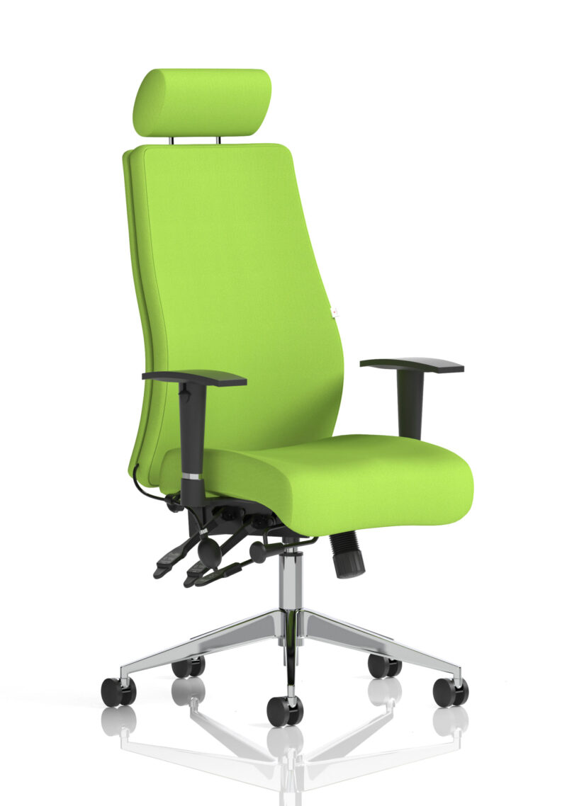 onyx high back ergonomic posture chair with height adjustable arms