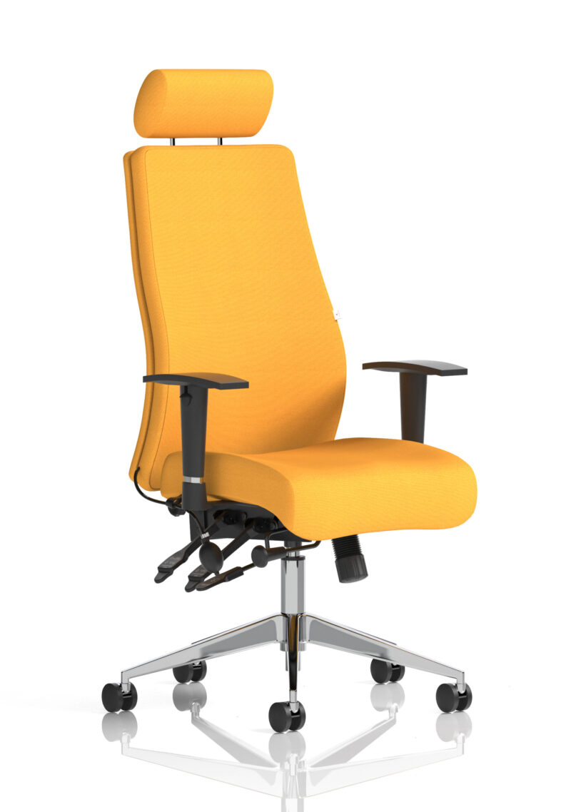onyx high back ergonomic posture chair with height adjustable arms