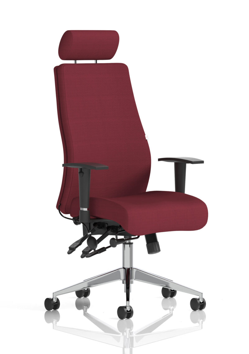 onyx high back ergonomic posture chair with height adjustable arms