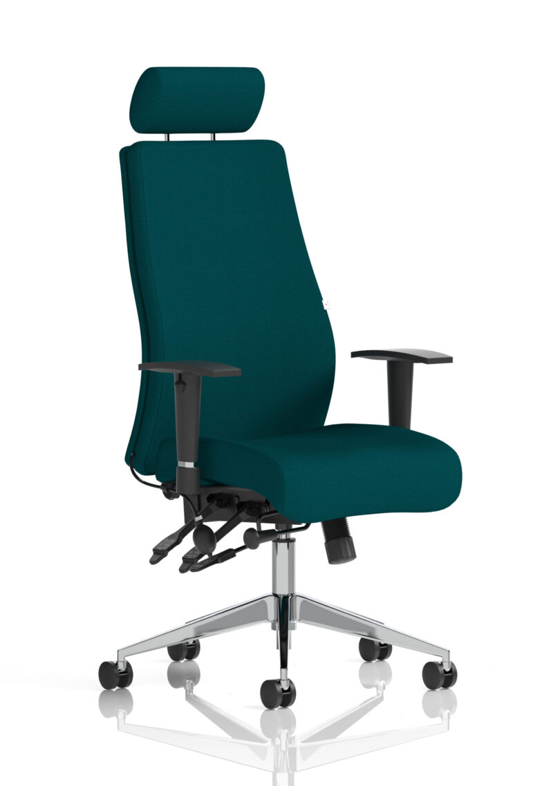 onyx high back ergonomic posture chair with height adjustable arms