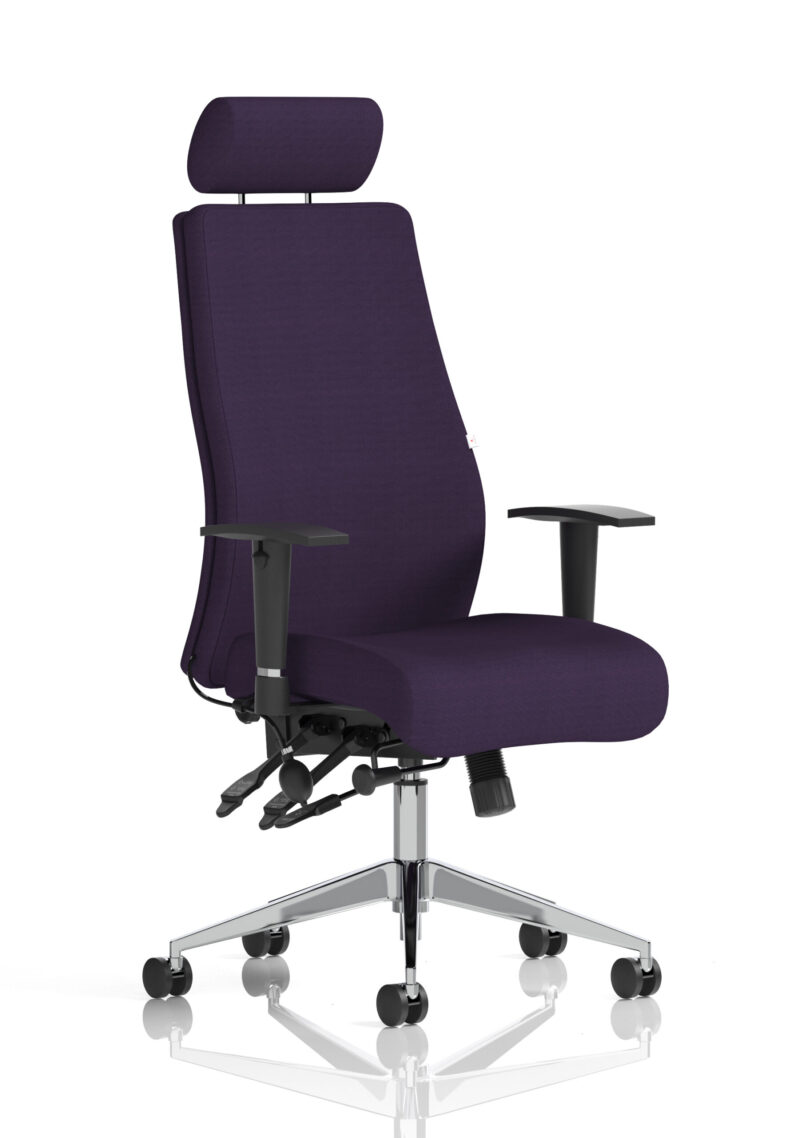onyx high back ergonomic posture chair with height adjustable arms
