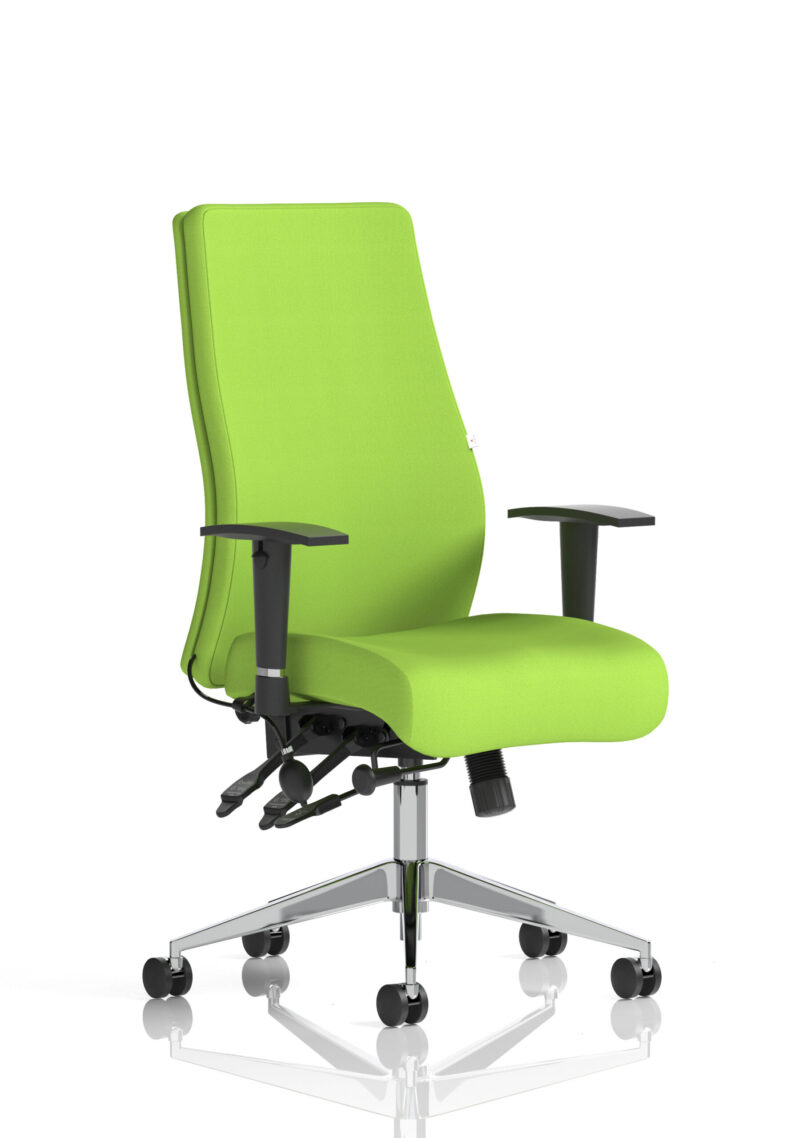 onyx high back ergonomic posture chair with height adjustable arms