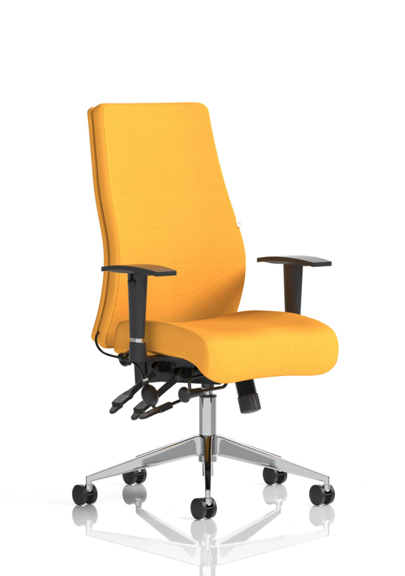 onyx high back ergonomic posture chair with height adjustable arms