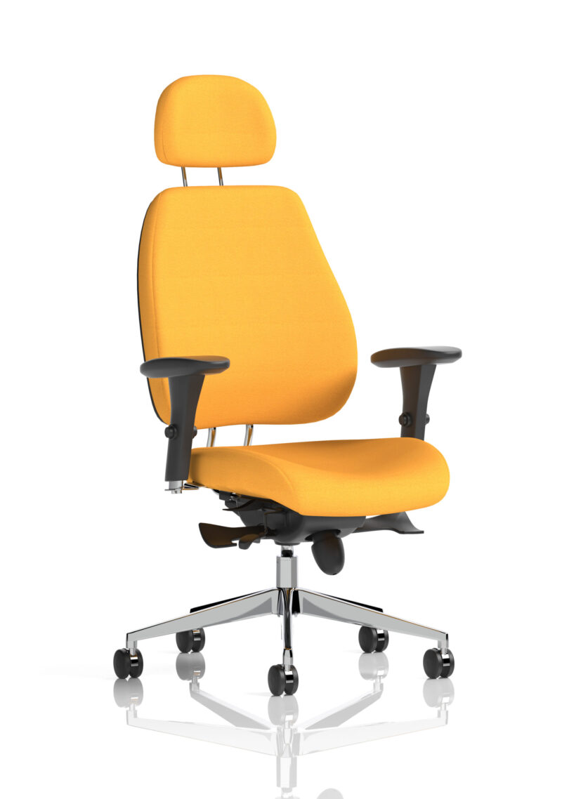 chiro plus high back ergonomic posture chair with arms