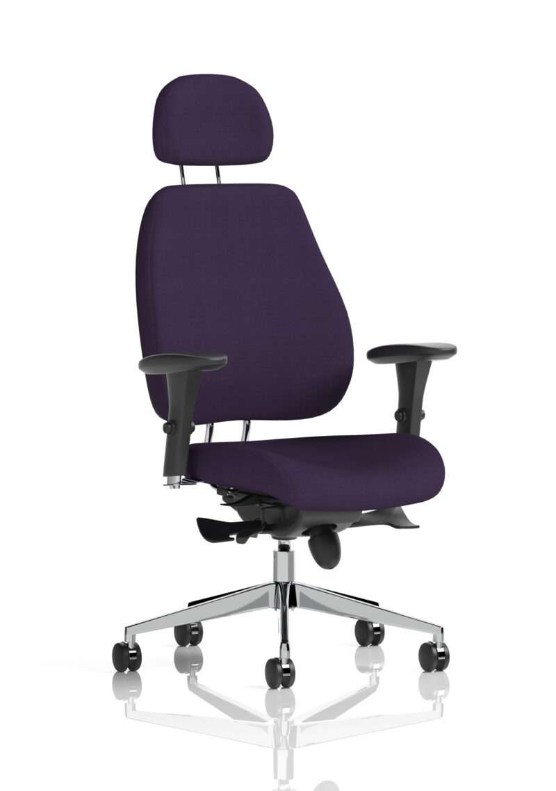 chiro plus high back ergonomic posture chair with arms