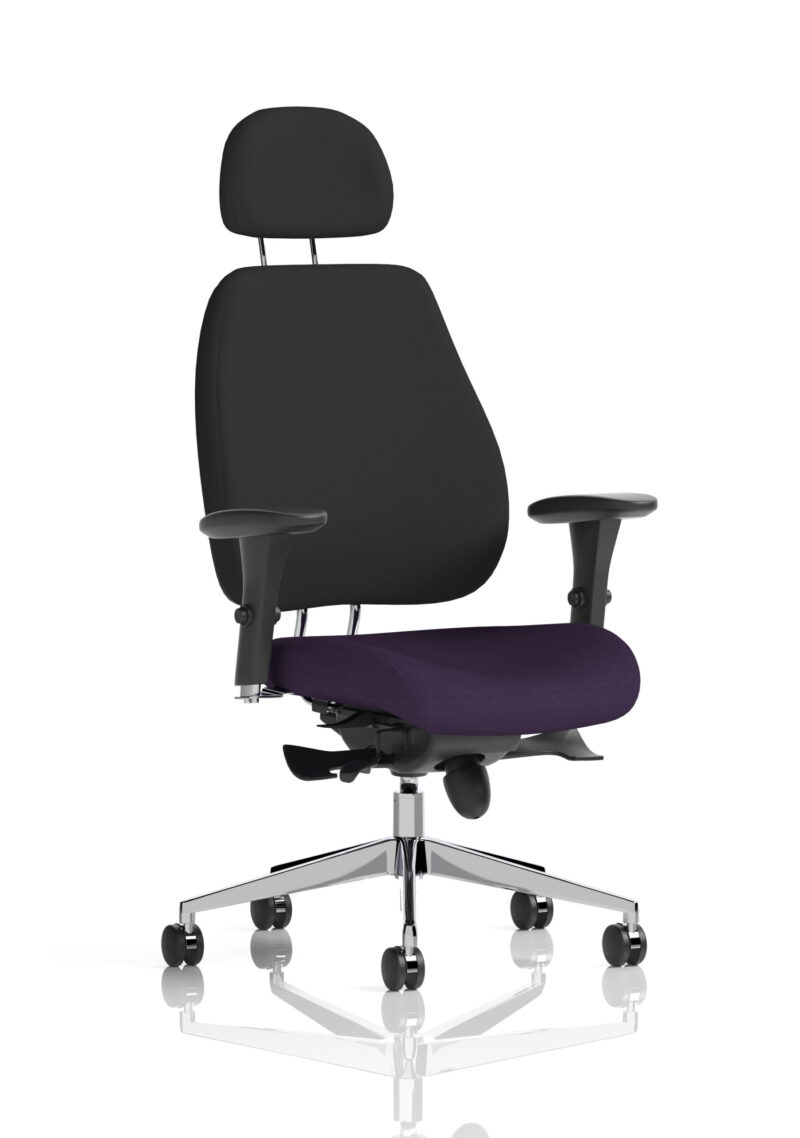 chiro plus high back ergonomic posture chair with arms