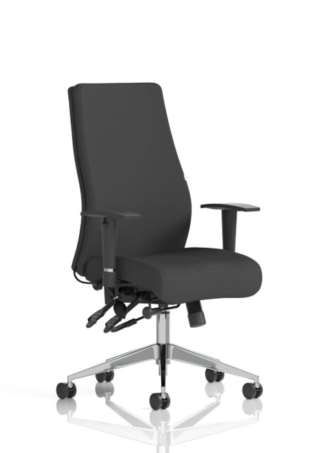 onyx high back ergonomic posture chair with height adjustable arms