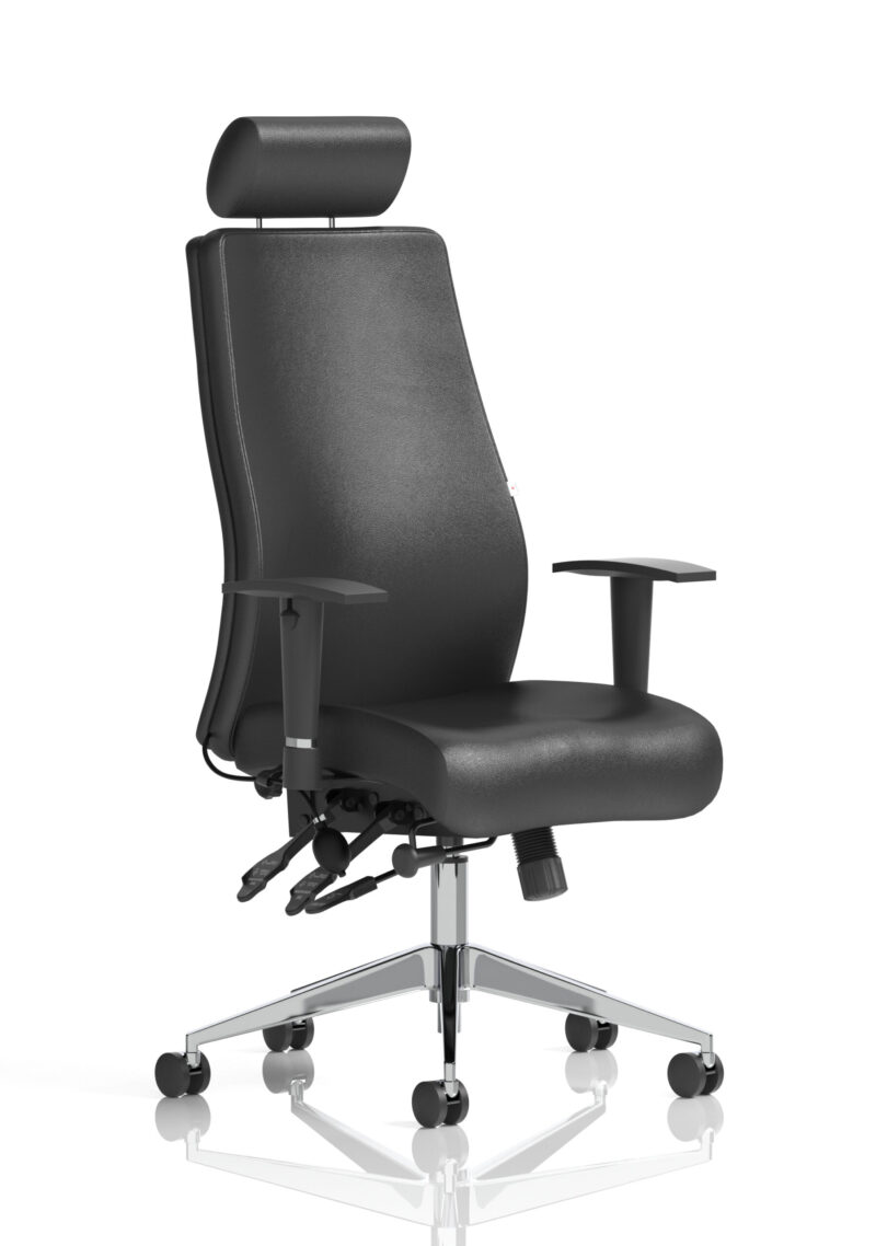 onyx high back ergonomic posture chair with height adjustable arms