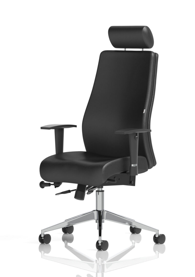 onyx high back ergonomic posture chair with height adjustable arms