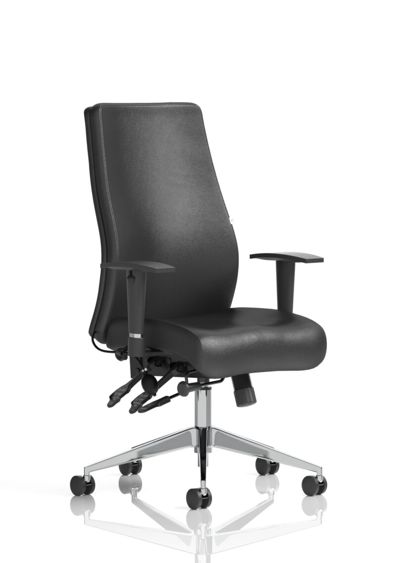 onyx high back ergonomic posture chair with height adjustable arms