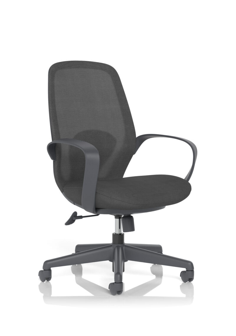 ariel mesh chair
