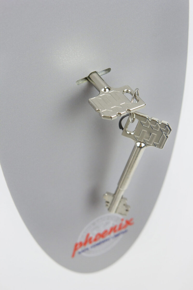 phoenix fortress security safe