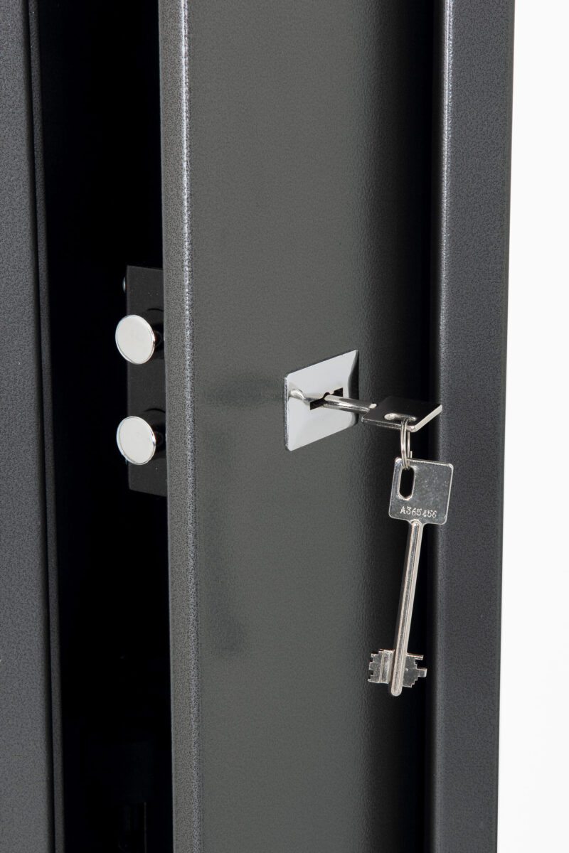 phoenix lacerta gun safe