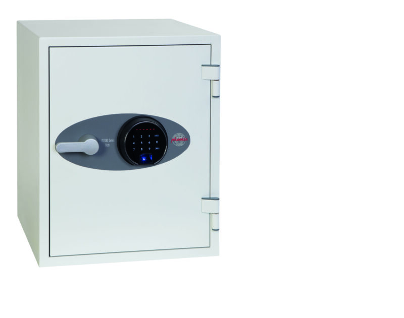 phoenix titan fire & security safe
